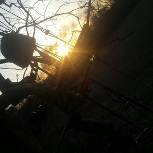 Meet your Posher, Brady